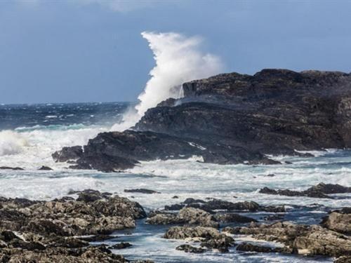 The Beach, Days Bar And B&B Inishbofin Luaran gambar